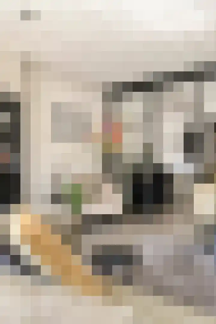 Praalheuvel 19 Best thumbnail 7