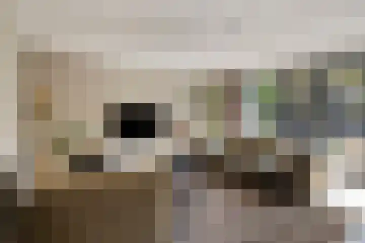 Praalheuvel 19 Best thumbnail 9