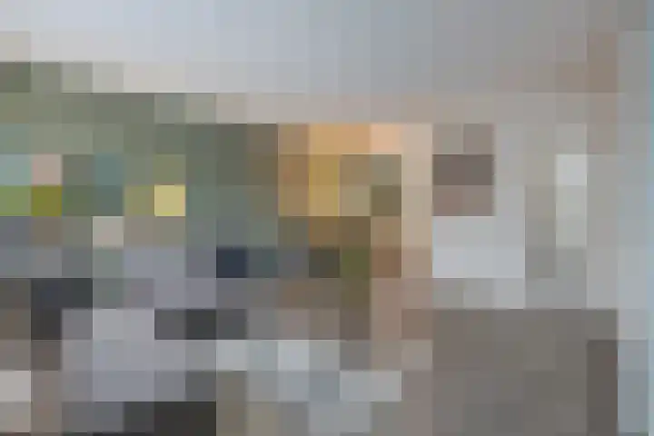 Praam 14 Etten-Leur thumbnail 10