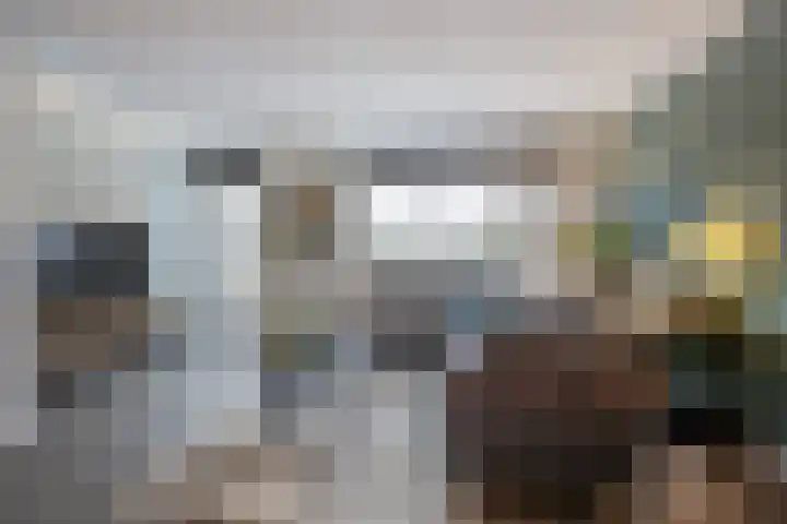 Praam 14 Etten-Leur thumbnail 11