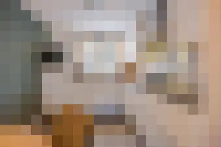 Praam 14 Etten-Leur thumbnail 13