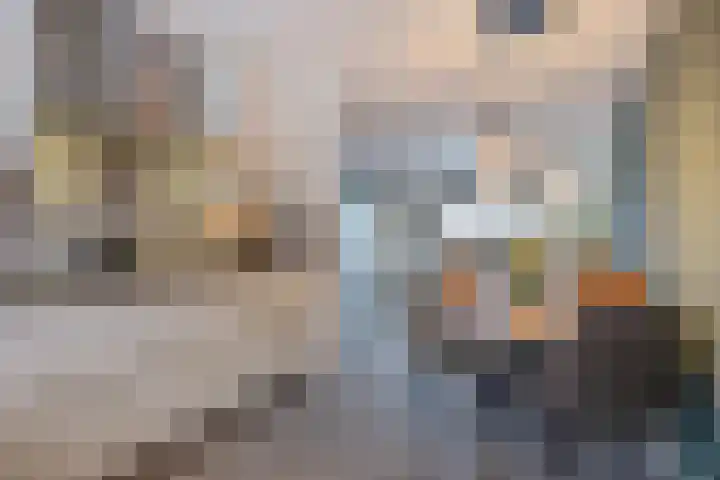 Praam 14 Etten-Leur thumbnail 14