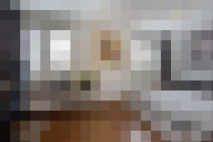 Praam 14 Etten-Leur thumbnail 18