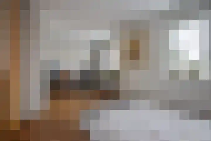 Praam 14 Etten-Leur thumbnail 20
