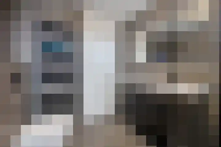 Praam 14 Etten-Leur thumbnail 23