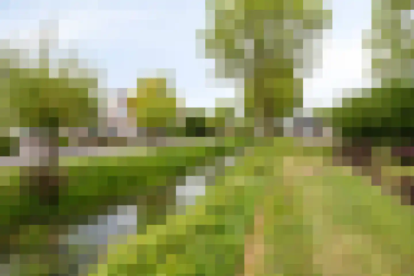 Praam 20 Haulerwijk thumbnail 38