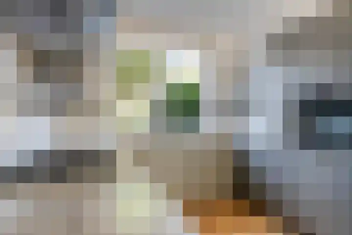 Praam 248 Amstelveen thumbnail 11