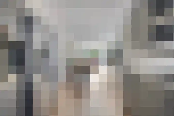 Praam 248 Amstelveen thumbnail 13