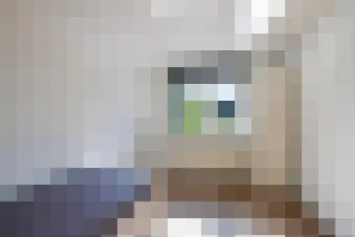Praam 248 Amstelveen thumbnail 17