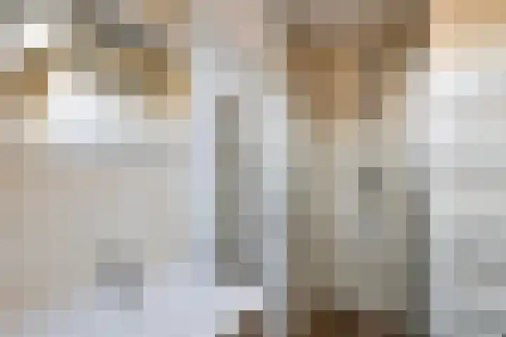 Praam 248 Amstelveen thumbnail 29