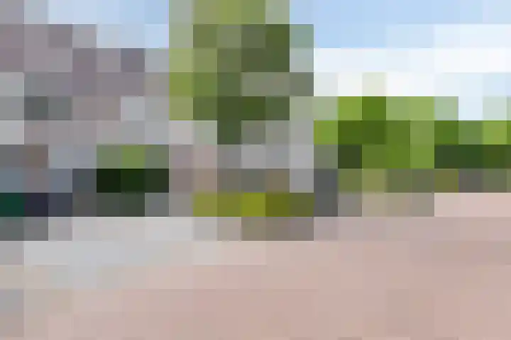 Praam 248 Amstelveen thumbnail 33