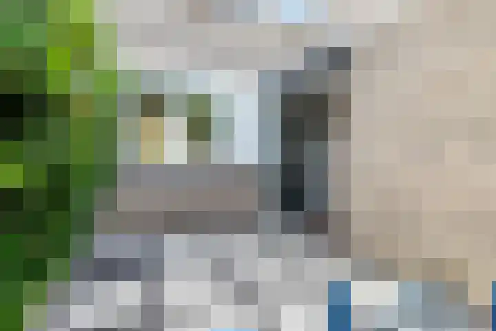 Praam 248 Amstelveen thumbnail 34