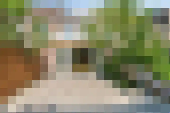 Praam 248 Amstelveen thumbnail 6