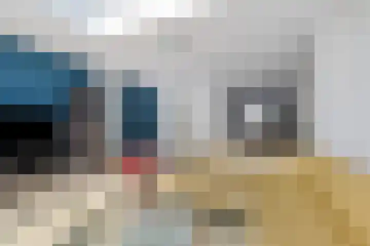 Praam 248 Amstelveen thumbnail 7