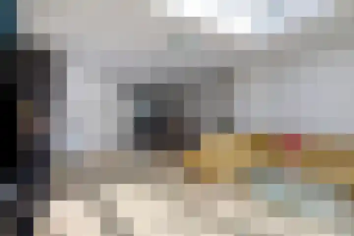 Praam 248 Amstelveen thumbnail 8