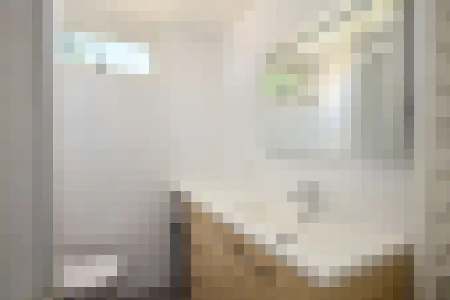 Praam 261 Amstelveen thumbnail 13