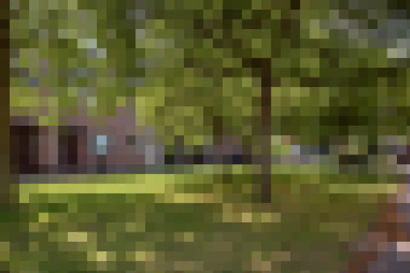 Praam 261 Amstelveen thumbnail 20