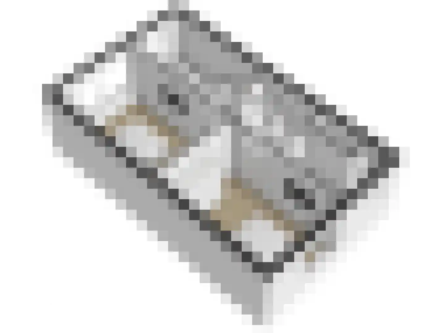 Praam 261 Amstelveen thumbnail 26
