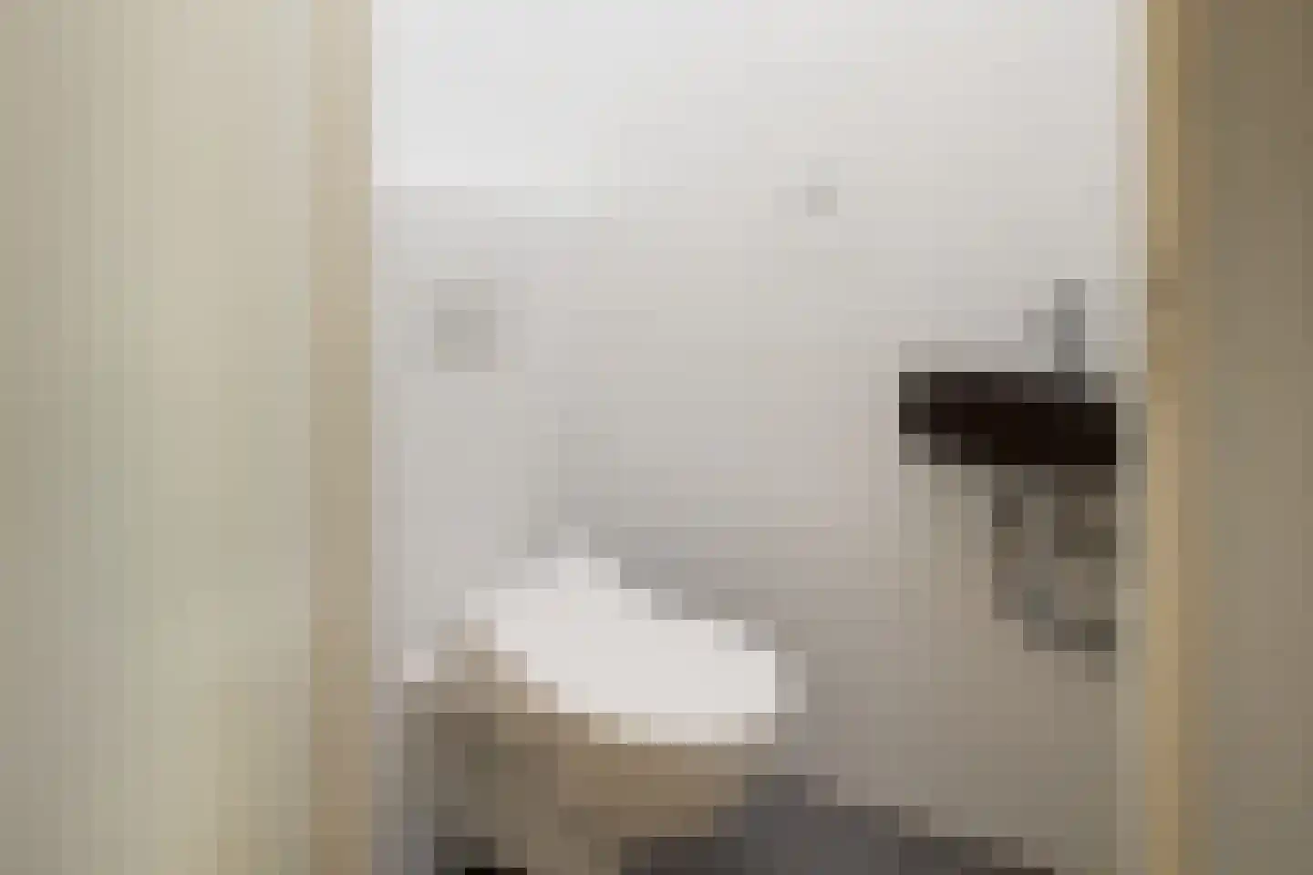 Praam 261 Amstelveen thumbnail 6