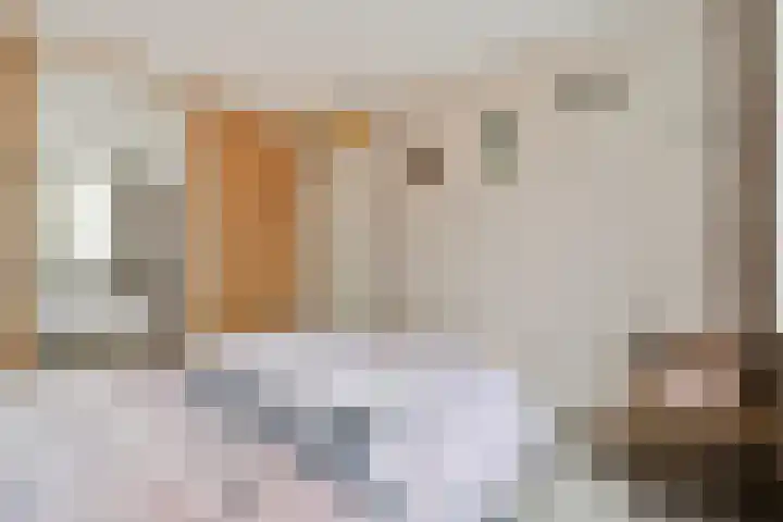 Praam 265 Amstelveen thumbnail 13