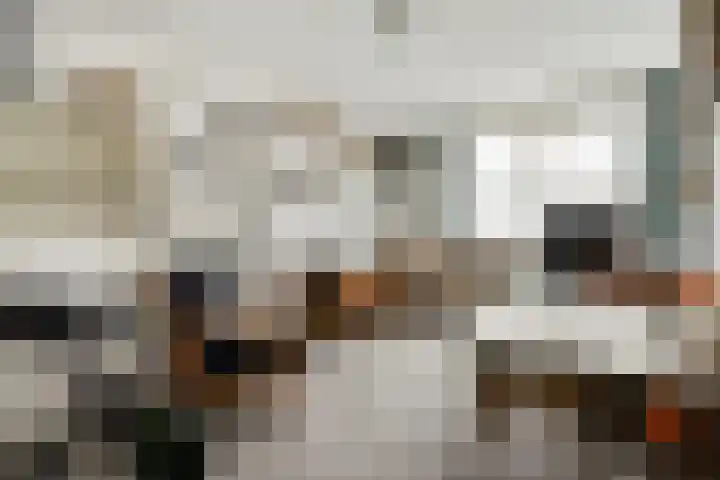 Praam 265 Amstelveen thumbnail 15