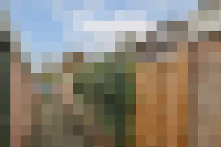 Praam 265 Amstelveen thumbnail 22