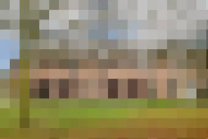 Praam 265 Amstelveen thumbnail 23