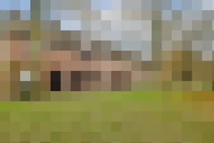 Praam 265 Amstelveen thumbnail 24