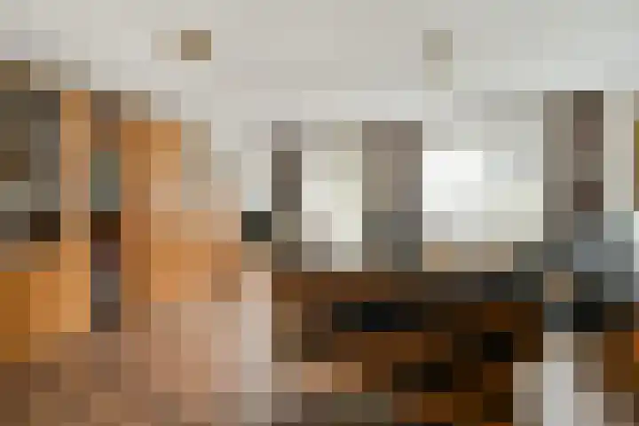 Praam 265 Amstelveen thumbnail 4