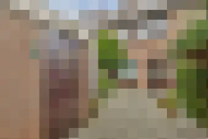Praam 265 Amstelveen thumbnail 9