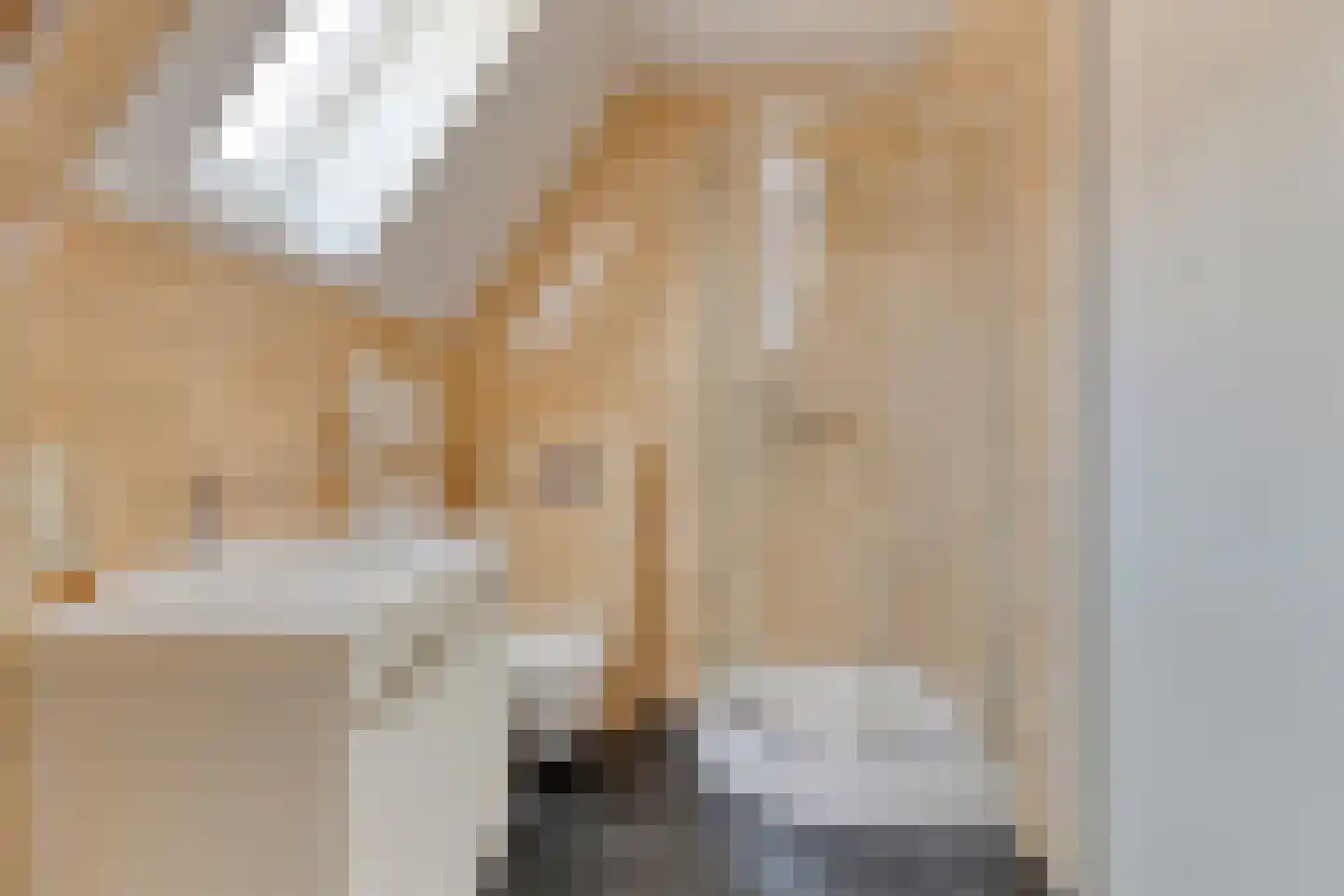 Praam 27 Woubrugge thumbnail 30