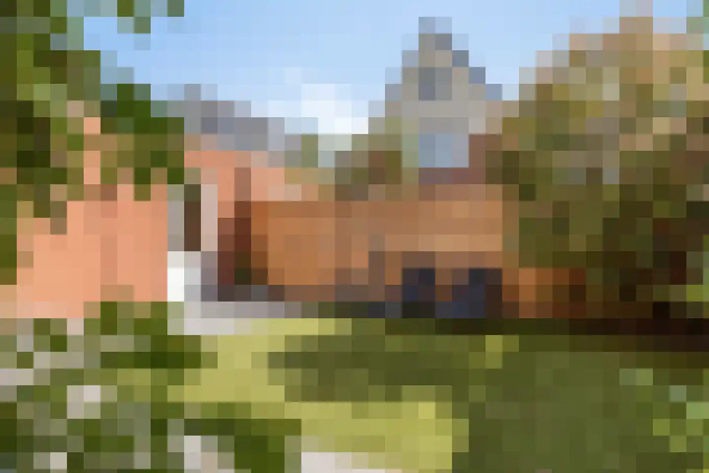 Praam 27 Woubrugge thumbnail 4
