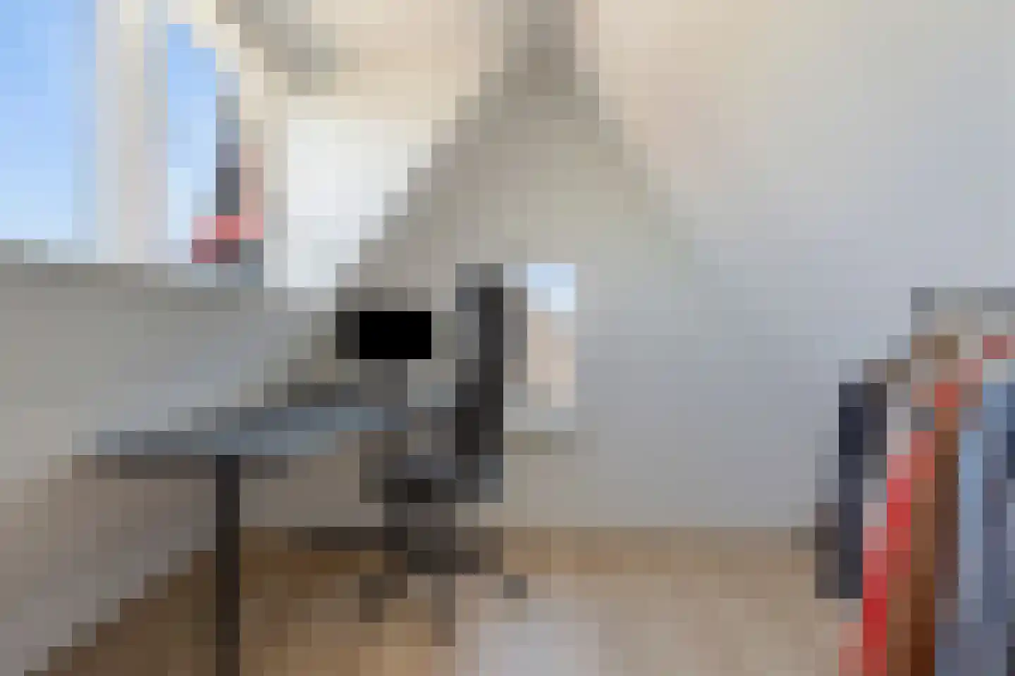 Praam 27 Woubrugge thumbnail 40