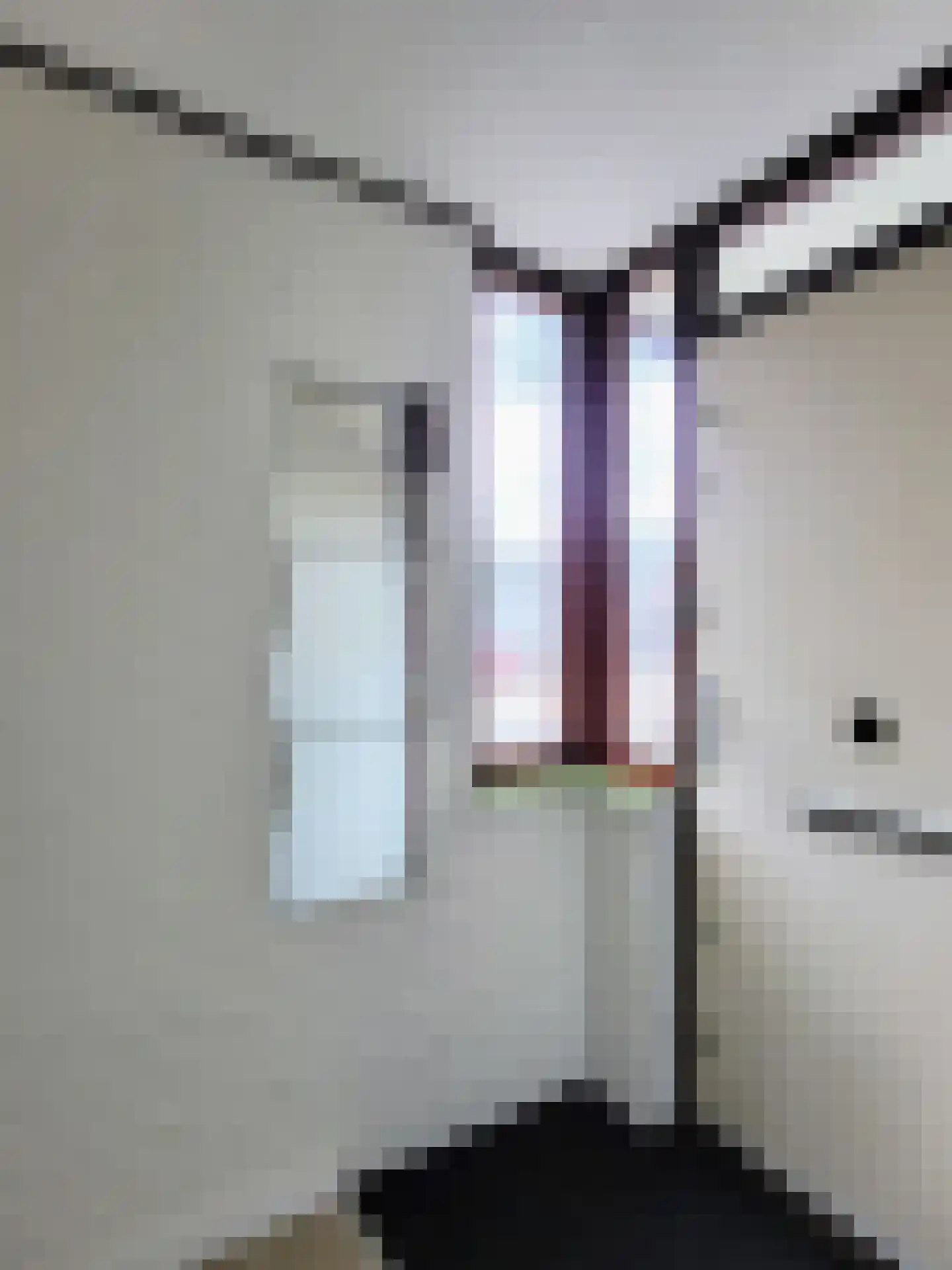 Praam 273 Amstelveen thumbnail 15