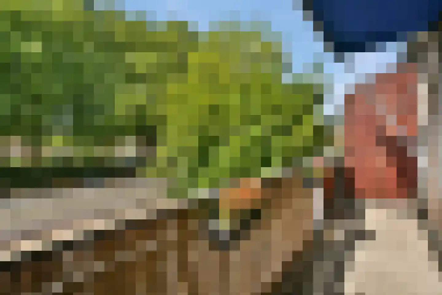 Praam 291 Amstelveen thumbnail 13