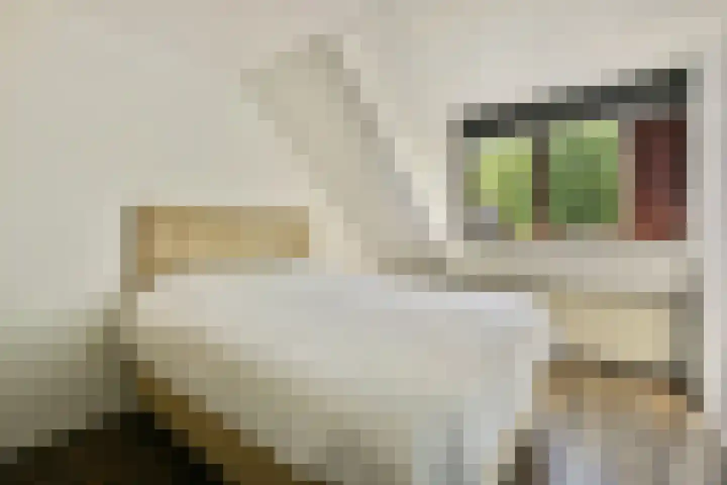 Praam 291 Amstelveen thumbnail 19