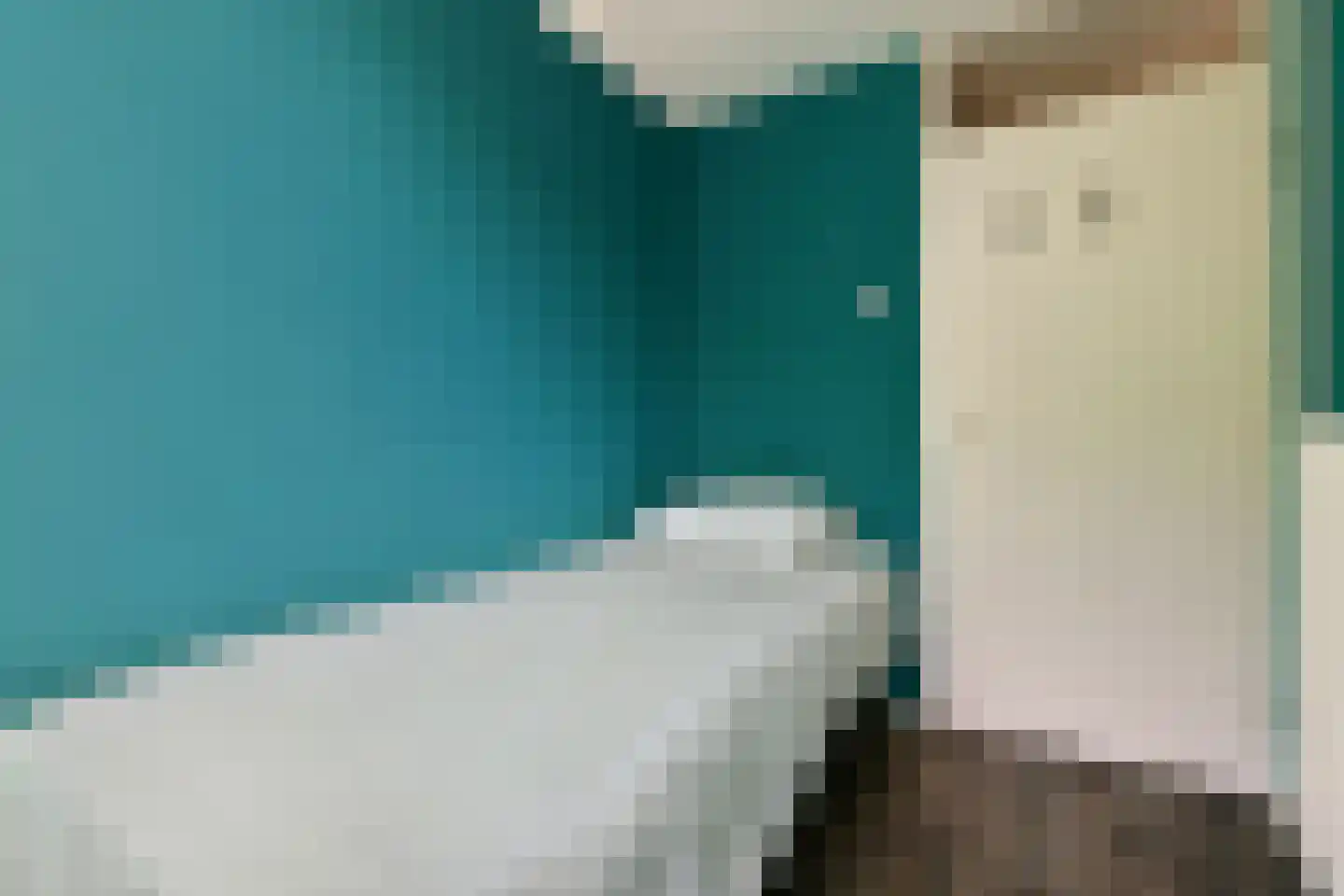 Praam 291 Amstelveen thumbnail 22