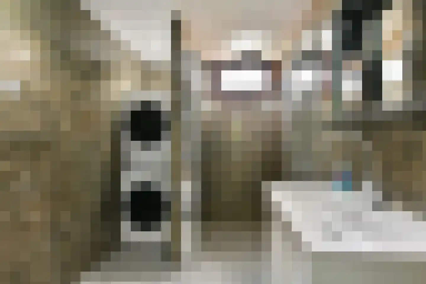 Praam 291 Amstelveen thumbnail 25