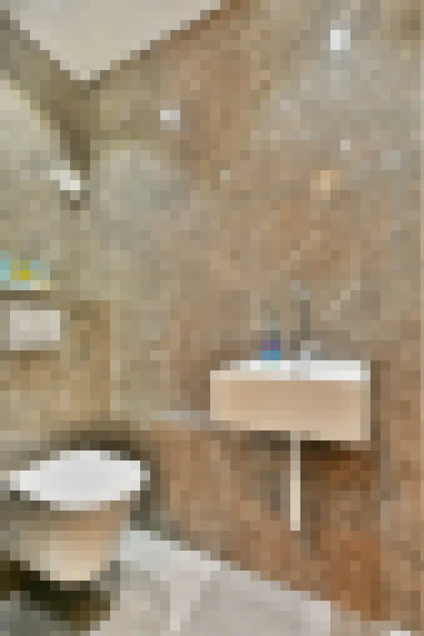 Praam 291 Amstelveen thumbnail 7