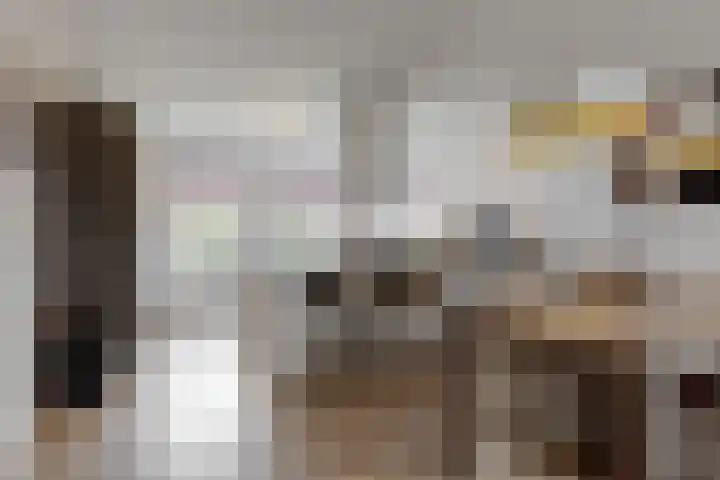 Praam 3 Wervershoof thumbnail 10