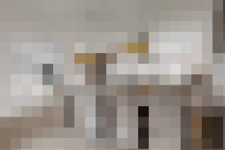 Praam 3 Wervershoof thumbnail 11