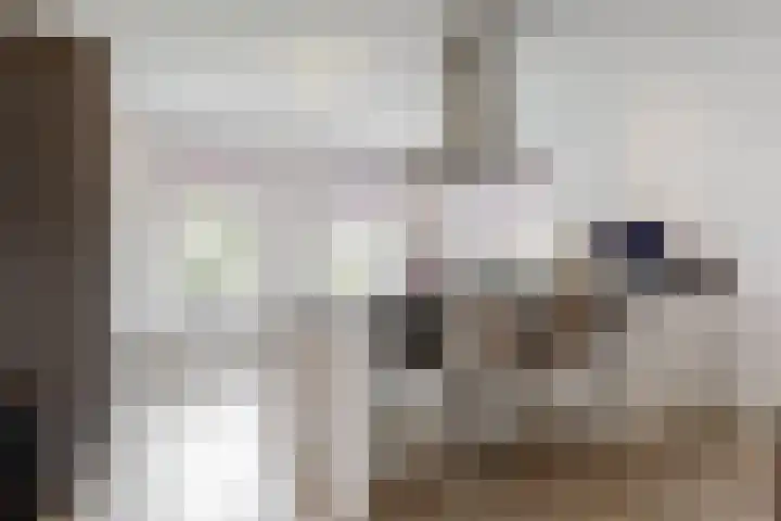Praam 3 Wervershoof thumbnail 12