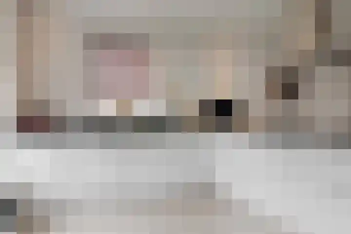 Praam 3 Wervershoof thumbnail 14