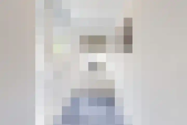 Praam 3 Wervershoof thumbnail 20