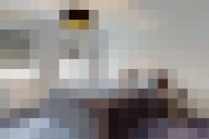 Praam 3 Wervershoof thumbnail 21