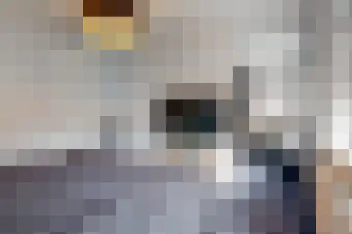 Praam 3 Wervershoof thumbnail 22