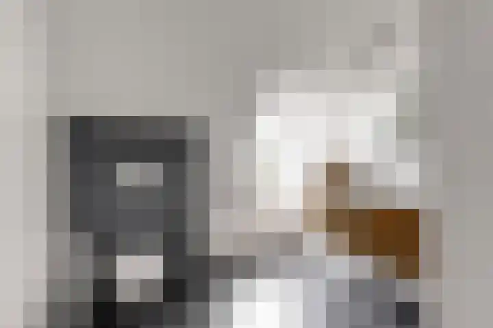 Praam 3 Wervershoof thumbnail 38