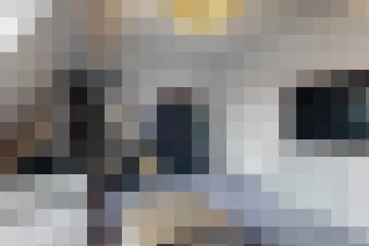 Praam 3 Wervershoof thumbnail 43