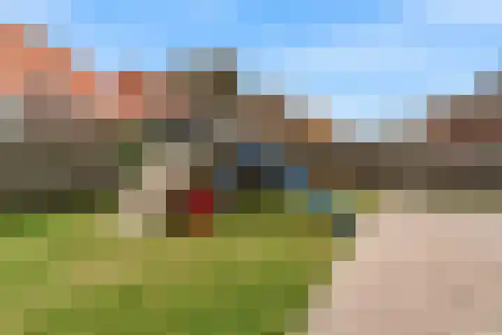 Praam 3 Wervershoof thumbnail 45