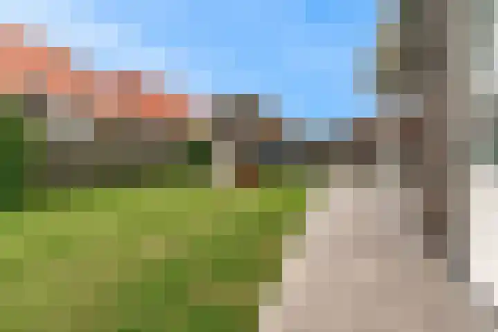 Praam 3 Wervershoof thumbnail 46